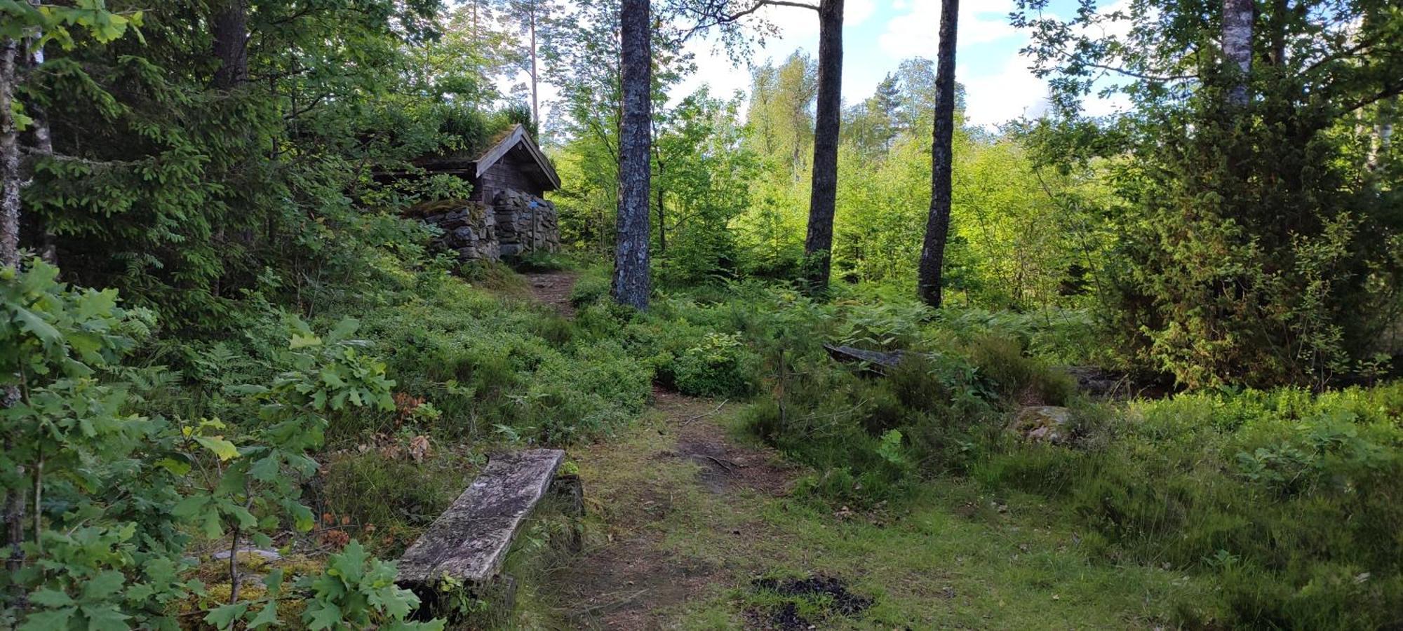 Boende I Malaskog, Near The Lake, Boat, Big Garden Ryssby Exteriör bild