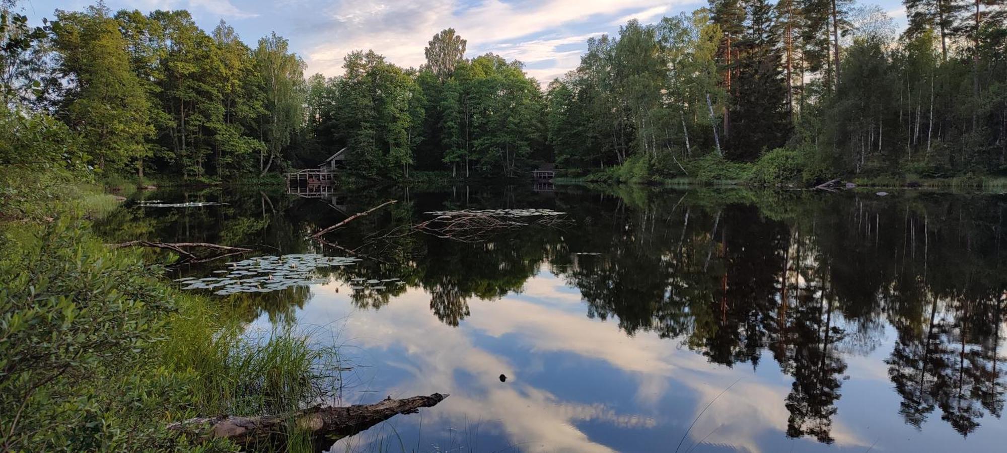 Boende I Malaskog, Near The Lake, Boat, Big Garden Ryssby Exteriör bild